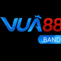VUA88 band picture VUA88 band profile image