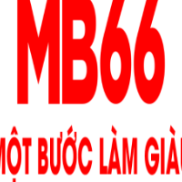 mb66 picture mb66 profile image