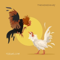 DA GA TRUC TIEP THOMO HOM NAY picture DA GA TRUC TIEP THOMO HOM NAY profile image