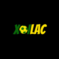 bssf.team lừa đảo picture bssf.team lừa đảo profile image
