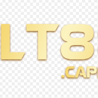 lt88capital picture lt88capital profile image