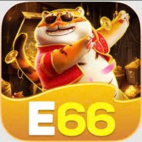 E66 picture E66 profile image