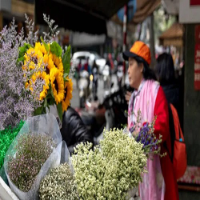 Tiệm hoa tươi hà nội picture Tiệm hoa tươi hà nội profile image