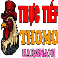 bargnanicom picture bargnanicom profile image