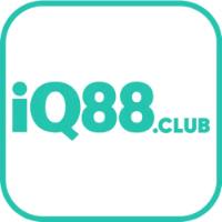 IQ88 picture IQ88 profile image
