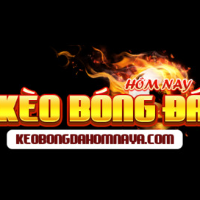 Kèo bóng đá hôm nay picture Kèo bóng đá hôm nay profile image