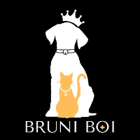 Bruni Boi picture Bruni Boi profile image