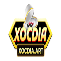 XOCDIA picture XOCDIA profile image