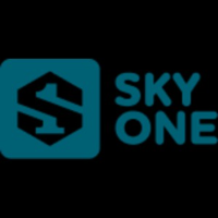 skyone包网 picture skyone包网 profile image