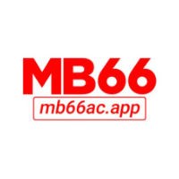MB66 picture MB66 profile image