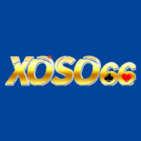 xoso66 picture xoso66 profile image