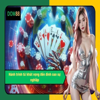CEO Dom88 - Trần Quế Hương picture CEO Dom88 - Trần Quế Hương profile image