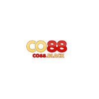 Co88 picture Co88 profile image