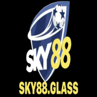 SKY88 GLASS profile image