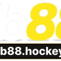 fb88hockey picture fb88hockey profile image