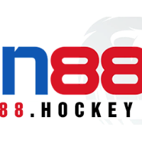 sin88hockey picture sin88hockey profile image