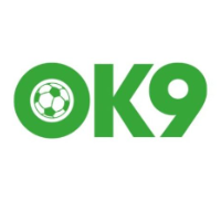 0k9 picture 0k9 profile image