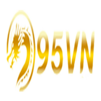 95Vn picture 95Vn profile image