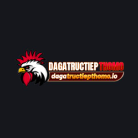 dagatructiepthomoio picture dagatructiepthomoio profile image