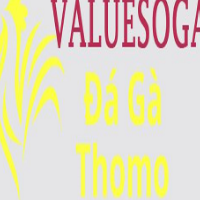 Đá Gà Trực Tiếp Thomo picture Đá Gà Trực Tiếp Thomo profile image
