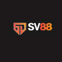 SV88 picture SV88 profile image
