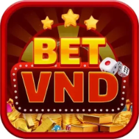 Betvnd88 picture Betvnd88 profile image