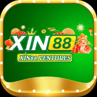 Xin88 picture Xin88 profile image
