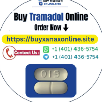 Buy-Tramadol-Online-Instant-Delivery-Track picture Buy-Tramadol-Online-Instant-Delivery-Track profile image