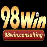 98Winconsulting profile image