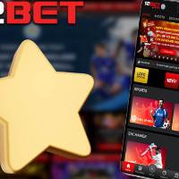 site12vn profile image