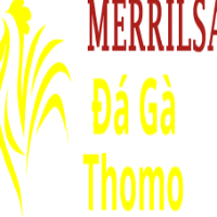 dagamerrilsa picture dagamerrilsa profile image