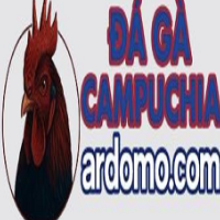 ĐÁ GÀ CAMPUCHIA TRỰC TIẾP TỪ BỒ C1, C2, C3, THOMO picture ĐÁ GÀ CAMPUCHIA TRỰC TIẾP TỪ BỒ C1, C2, C3, THOMO profile image