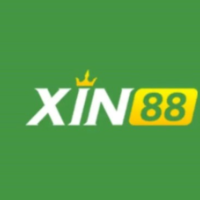 Xin88 picture Xin88 profile image