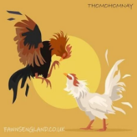 thomohomnay TRỰC TIẾP ĐÁ GÀ THOMO Full HD MỖI NGÀY picture thomohomnay TRỰC TIẾP ĐÁ GÀ THOMO Full HD MỖI NGÀY profile image
