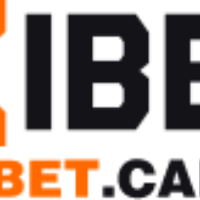 xibetcam profile image