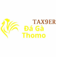Đá Gà Trực Tiếp Thomo picture Đá Gà Trực Tiếp Thomo profile image