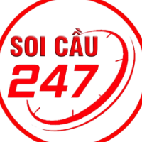 soicau247us picture soicau247us profile image