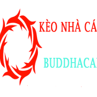 keonhacaibud picture keonhacaibud profile image