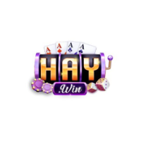 1Haywin picture 1Haywin profile image