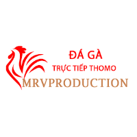 Đá Gà Trực Tiếp Thomo profile image