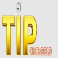 tipclub gold picture tipclub gold profile image