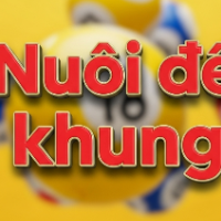 nuoidekhung picture nuoidekhung profile image