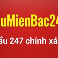 soicaumienbac picture soicaumienbac profile image