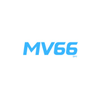 MV66 picture MV66 profile image