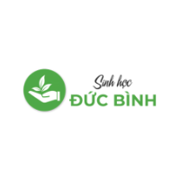 chephamducbinh picture chephamducbinh profile image
