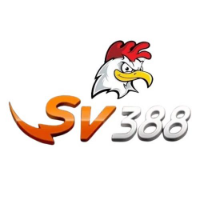 sv388vntop picture sv388vntop profile image