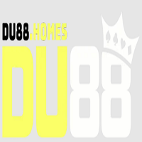 DU88 profile image