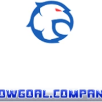 nowgoalcompany picture nowgoalcompany profile image