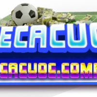 tylecacuoc picture tylecacuoc profile image