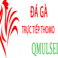 ĐÁ GÀ TRỰC TIẾP LYSET picture ĐÁ GÀ TRỰC TIẾP LYSET profile image